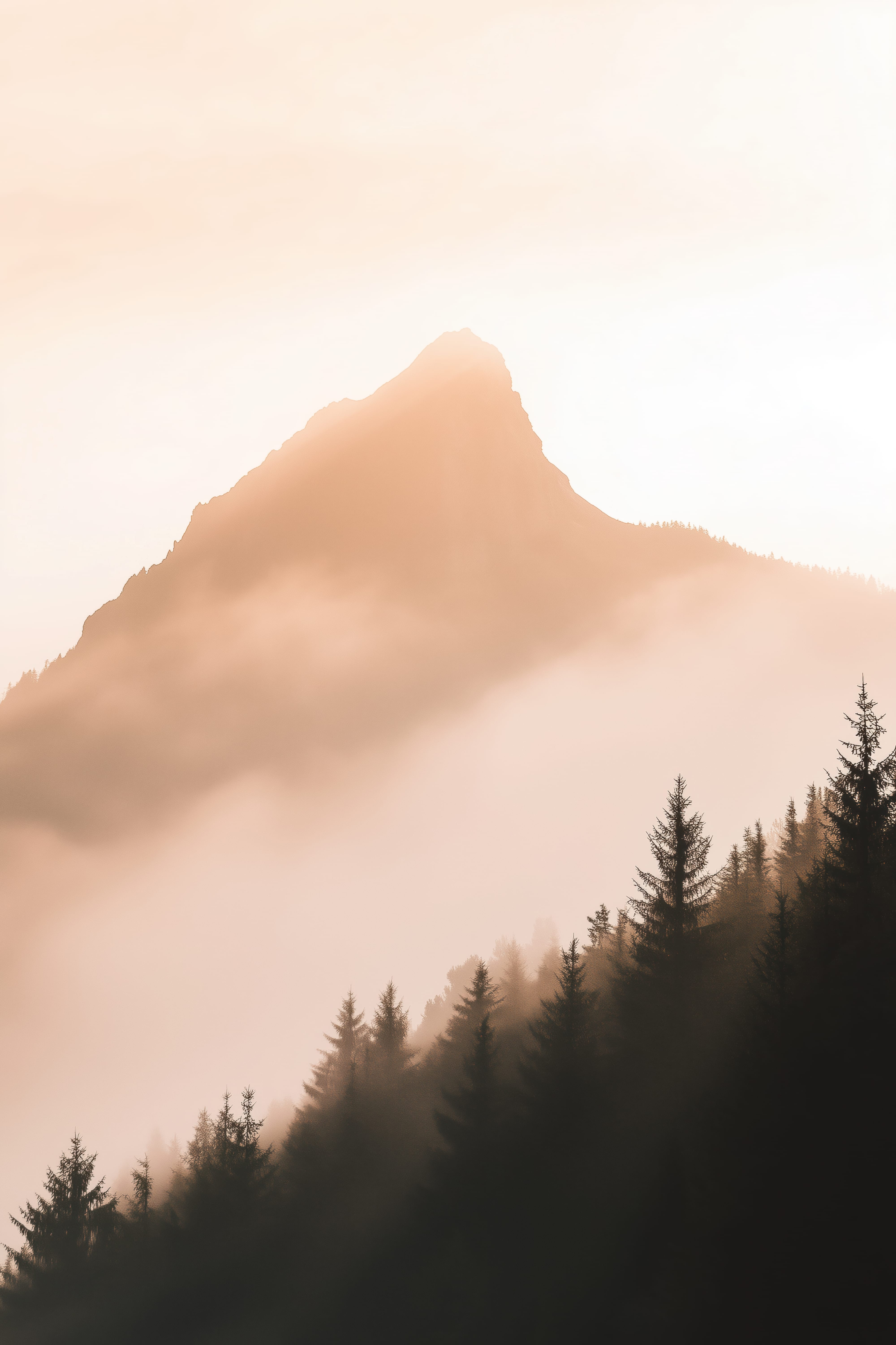 Peak at First Light — original art print