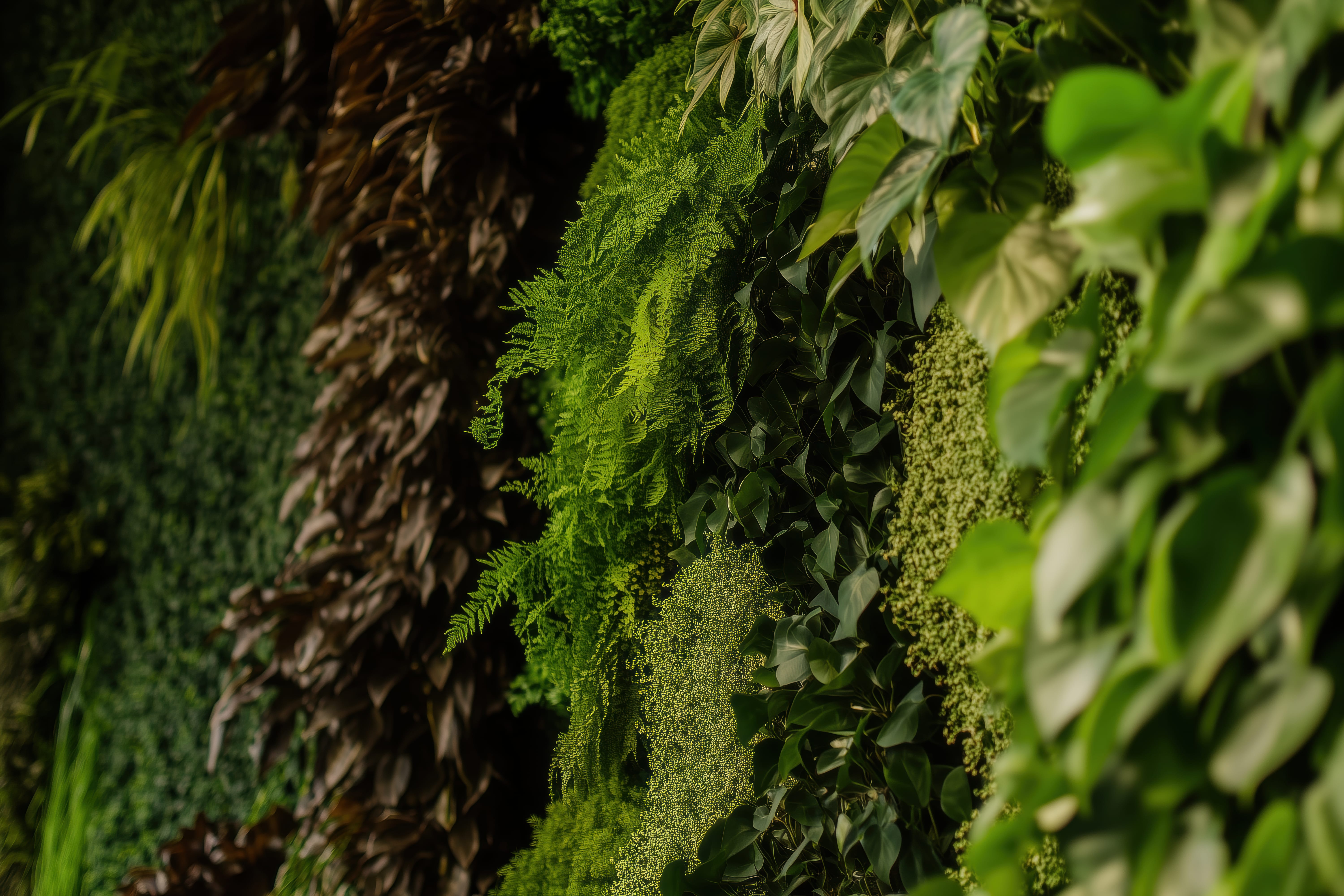 Living Wall — original art print