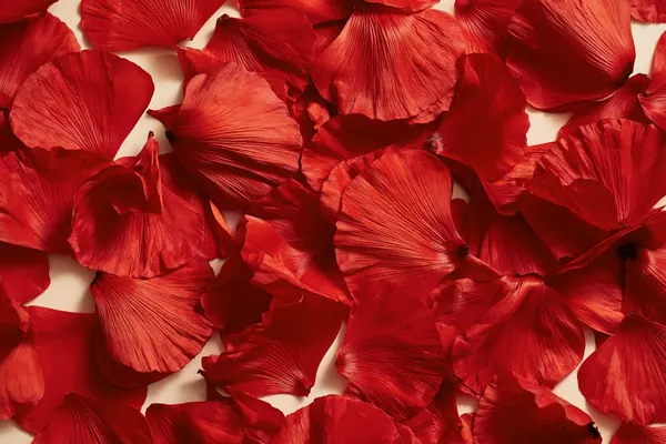 Scattered Poppy print