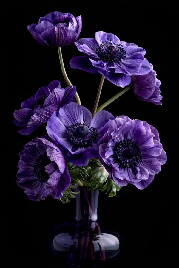 Anemones in a Bowl print
