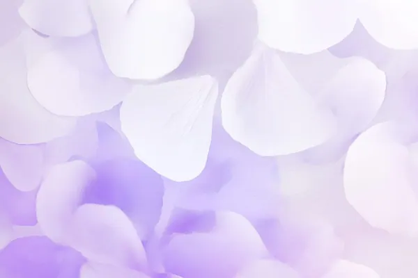 Lavender Bleed print
