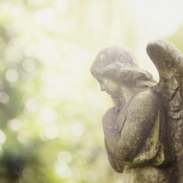 Garden Angel print