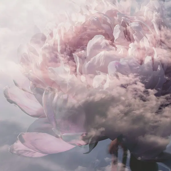 Peony Cloud II print