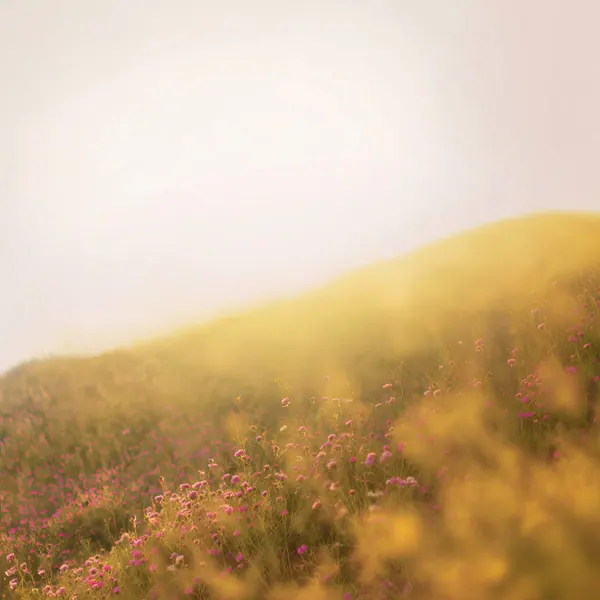 Sunrise Hill print