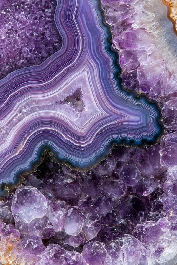 Violet Seam print