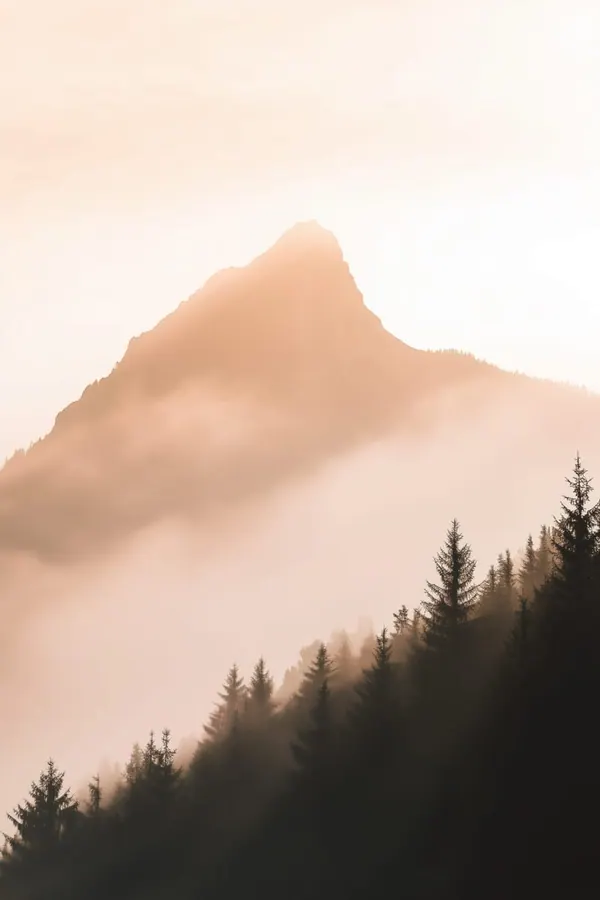 Peak at First Light print