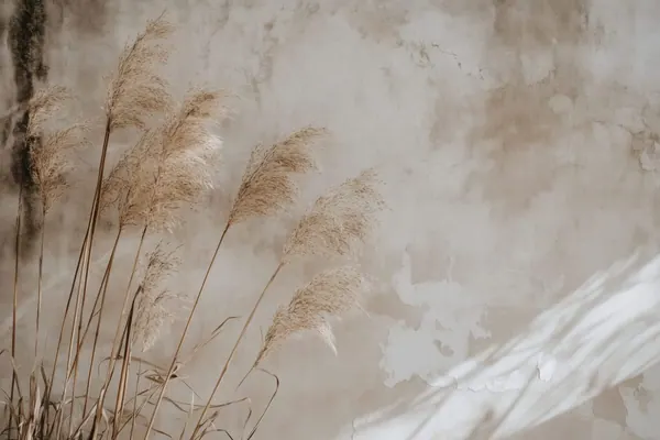 Pampas on Plaster print