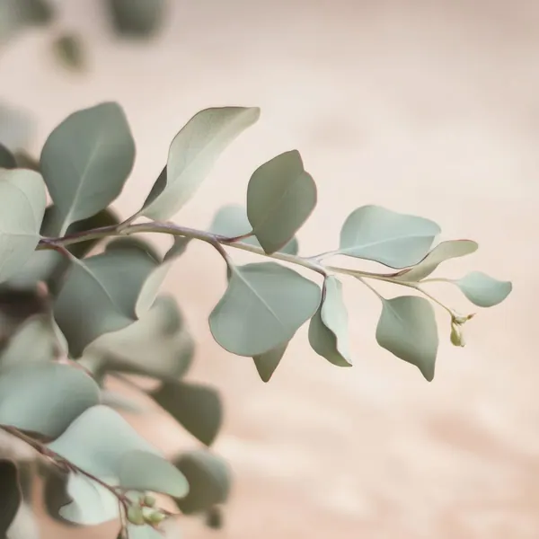 Eucalyptus Drift print