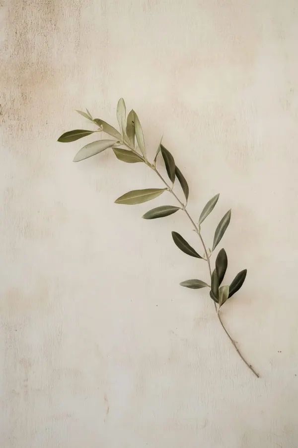 Olive Branch print