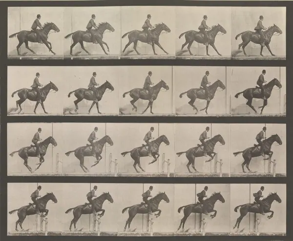 Horse and Rider Clearing a Hurdle print