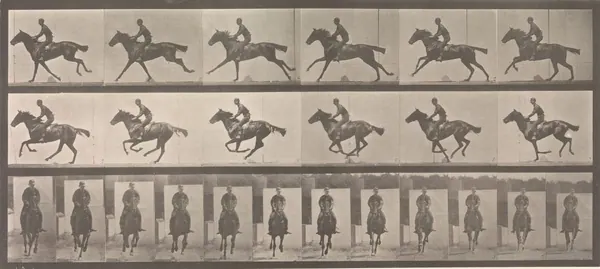 Horse and Rider Galloping print