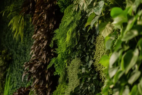 Living Wall print