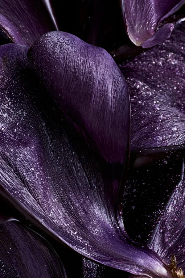 Aubergine Skins print