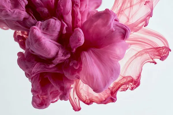 Magenta Plume print