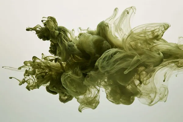 Olive Plume print