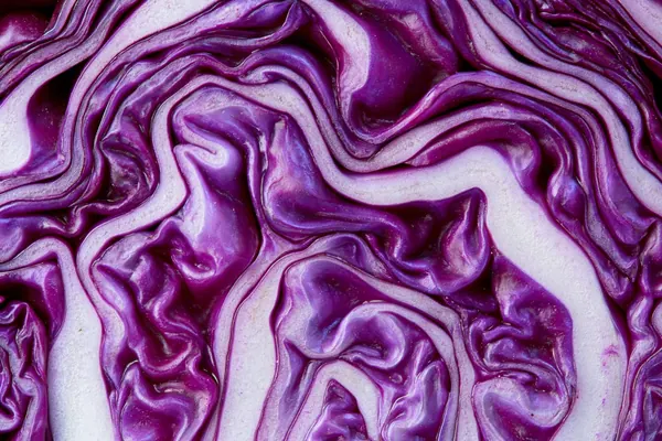Red Cabbage print