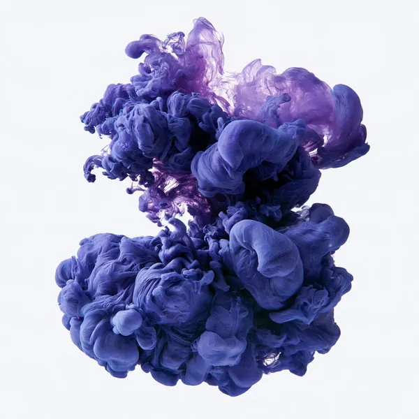 Ink Bloom print