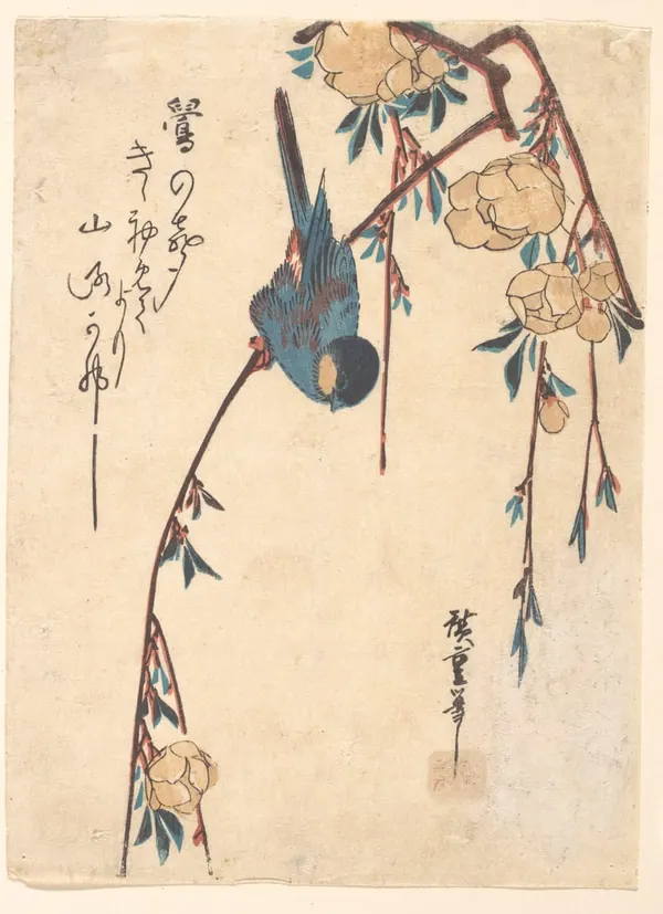 Songbird on the Weeping Cherry print