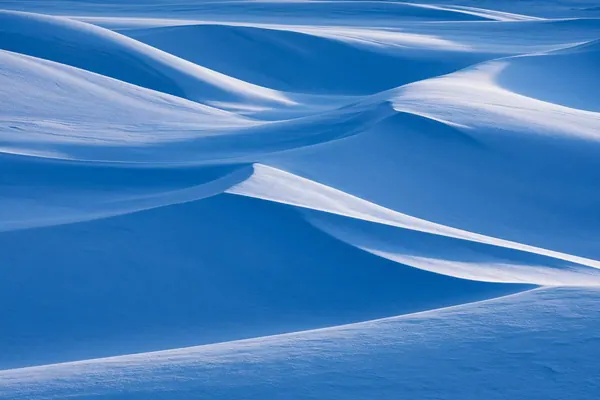 Blue Hour Snow print
