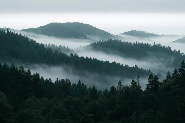Ridges in Sea Fog print