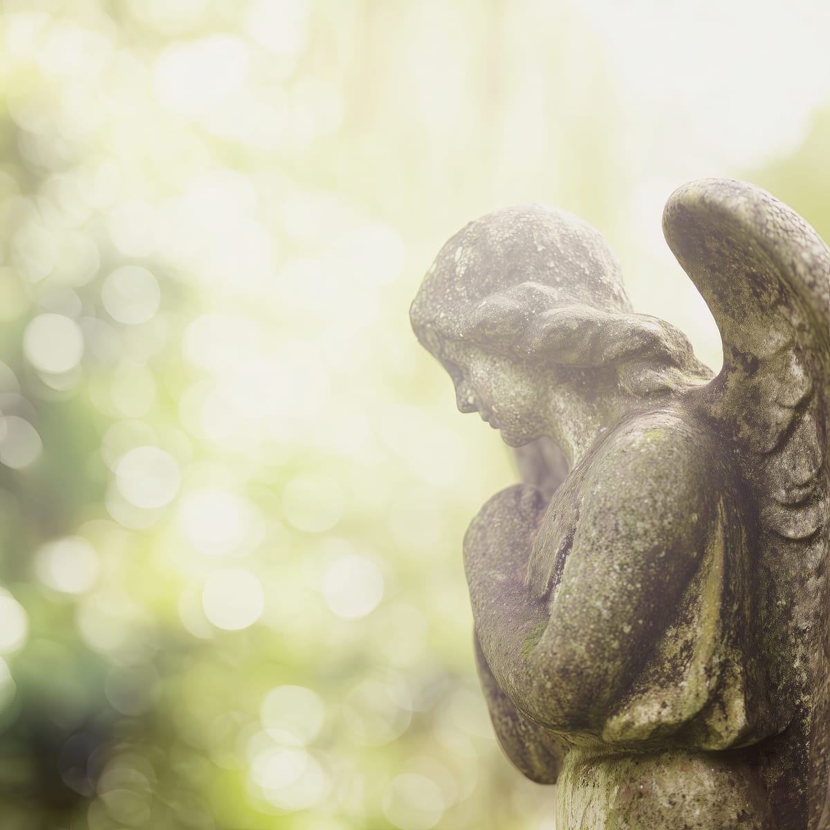 Garden Angel print