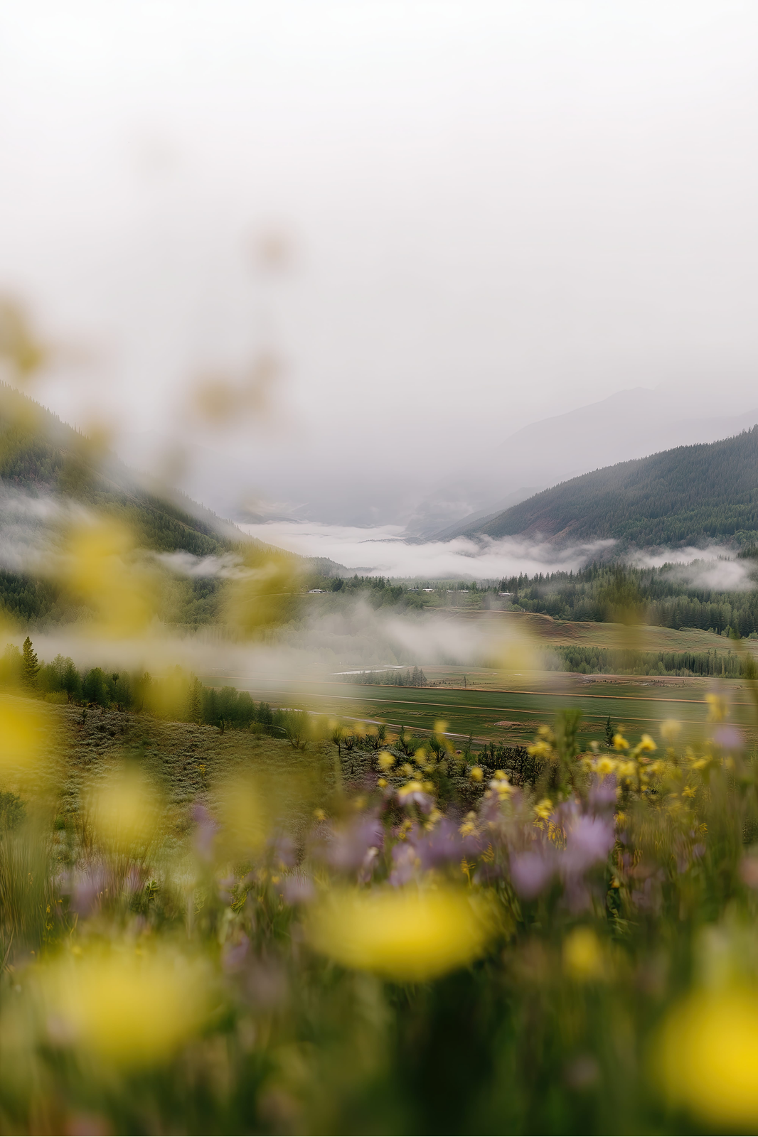 Cloud Valley Morning print