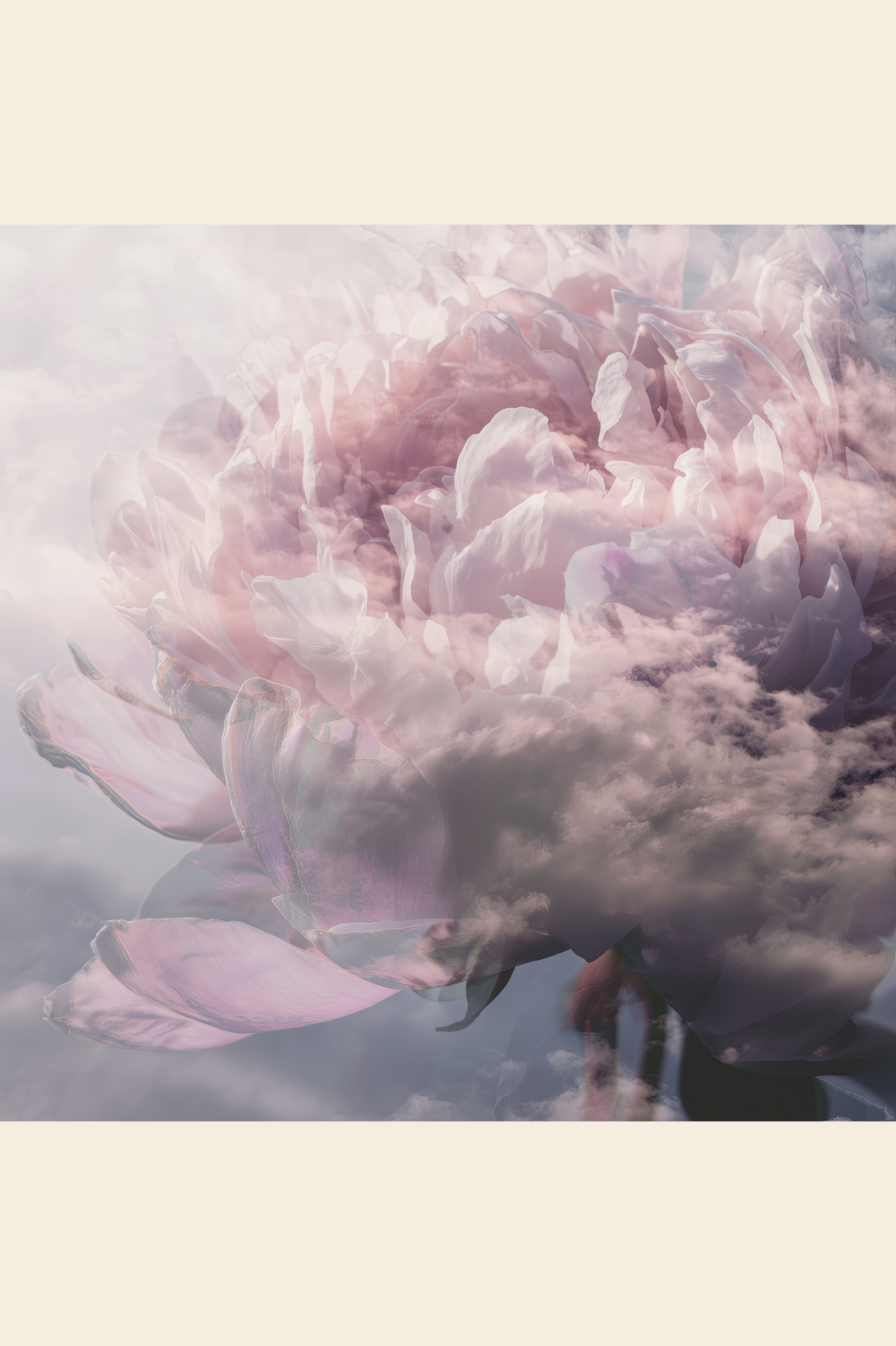 Peony Cloud II print