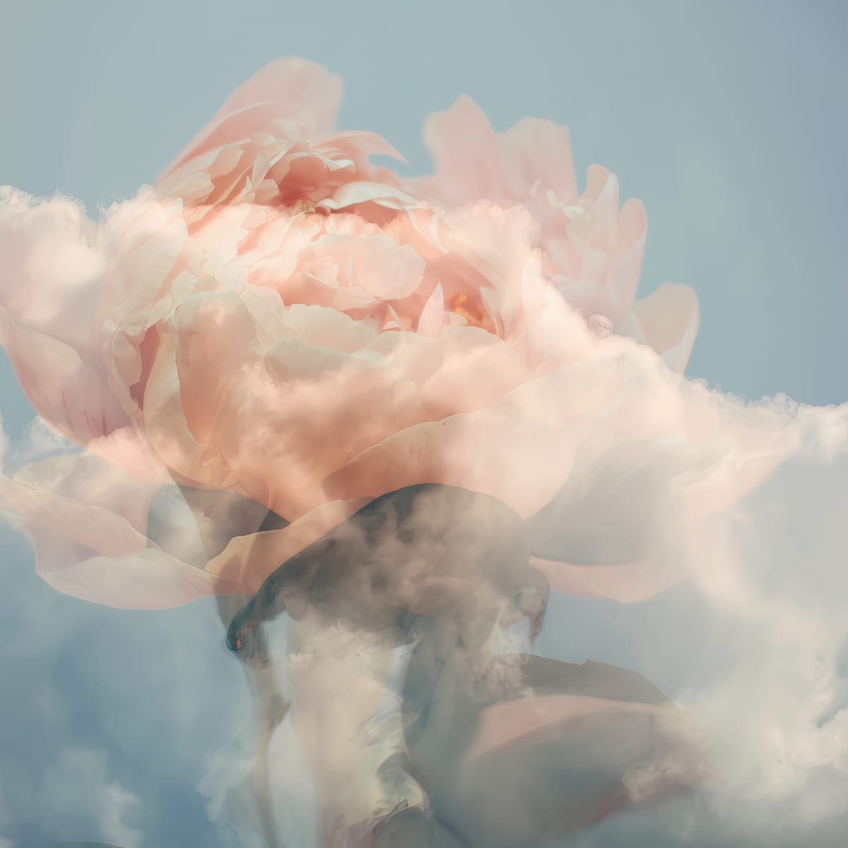 Peony Cloud I print