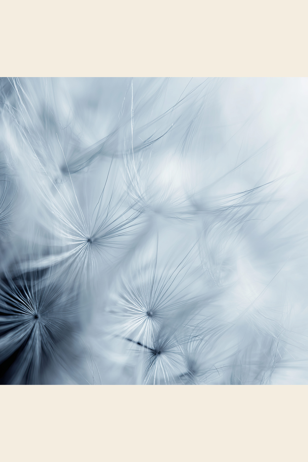 Dandelion Drift II print