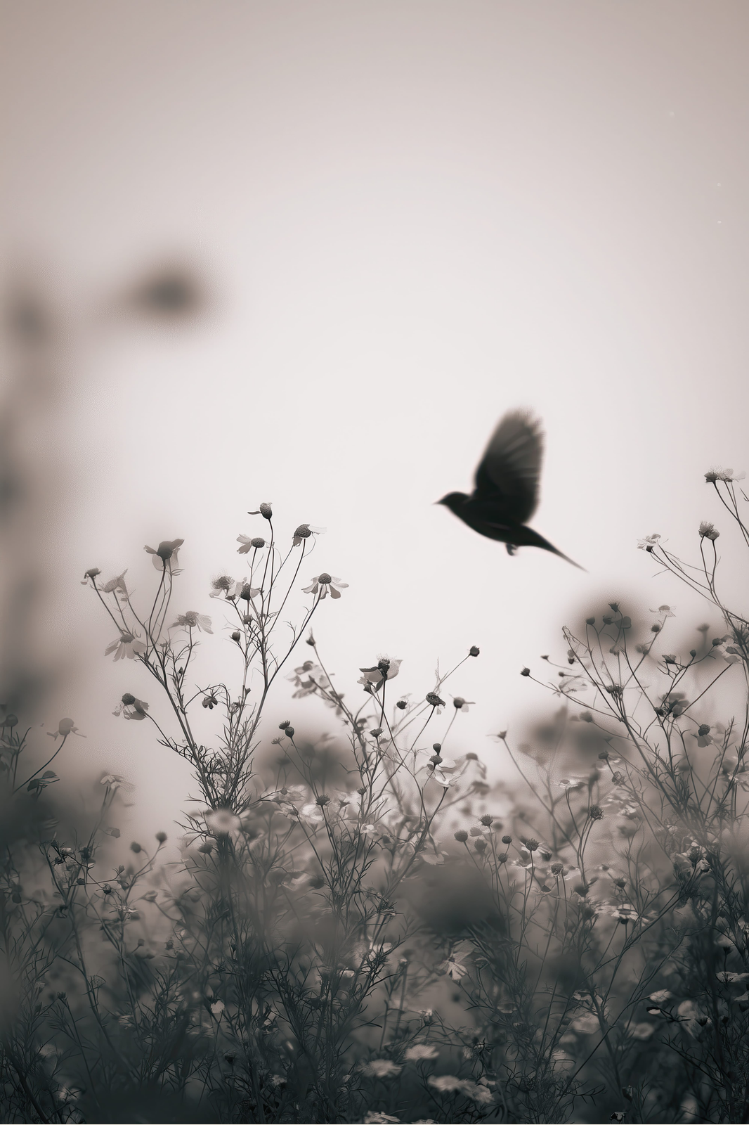 Bird over Meadow print