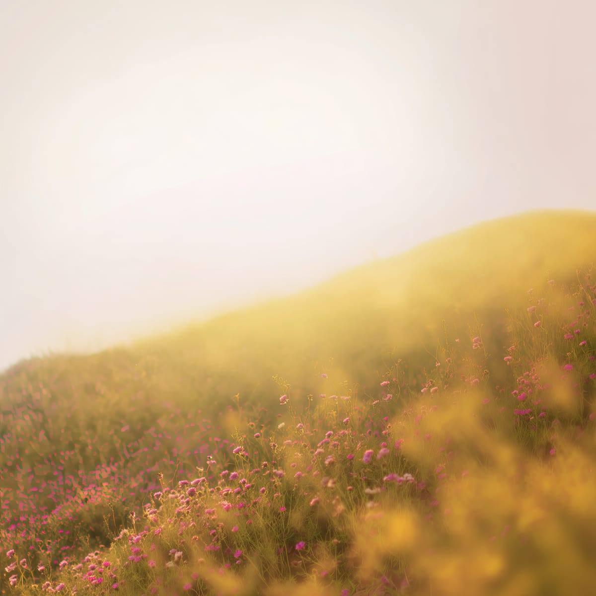 Sunrise Hill print