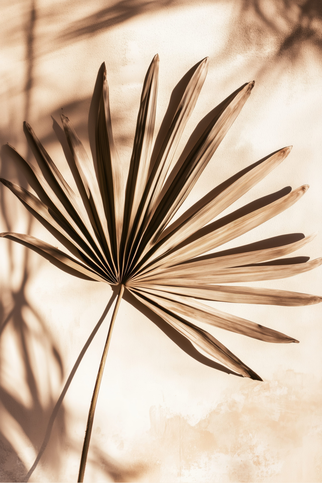 Palm Fan print