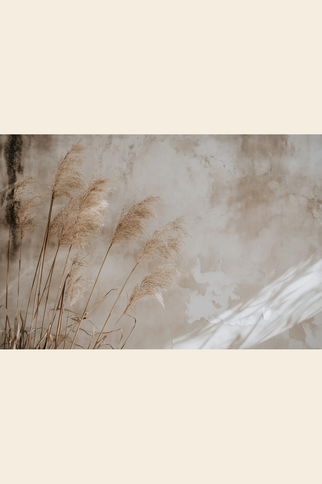 Pampas on Plaster print