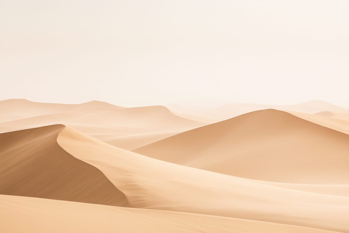 Dune Light print