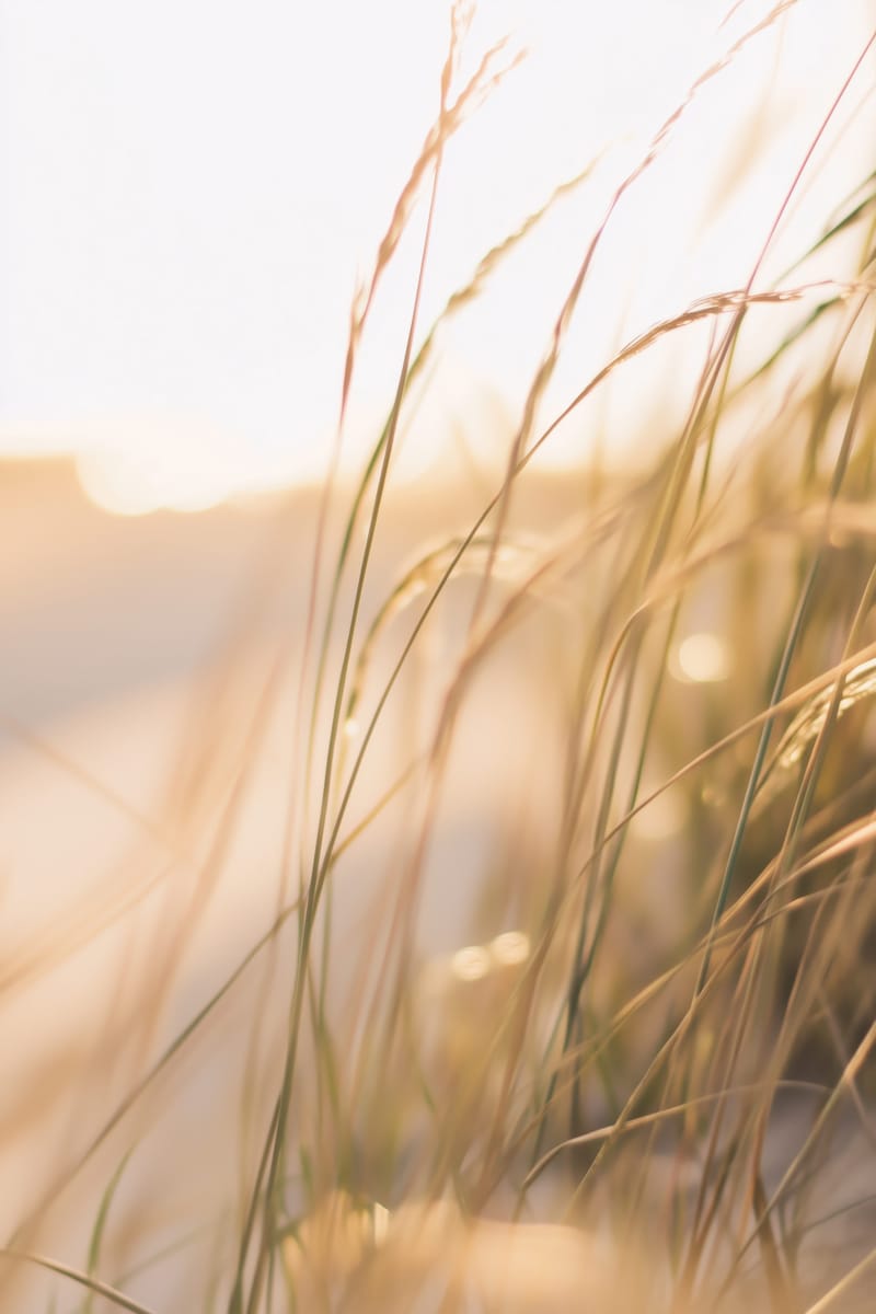 Golden Grasses print
