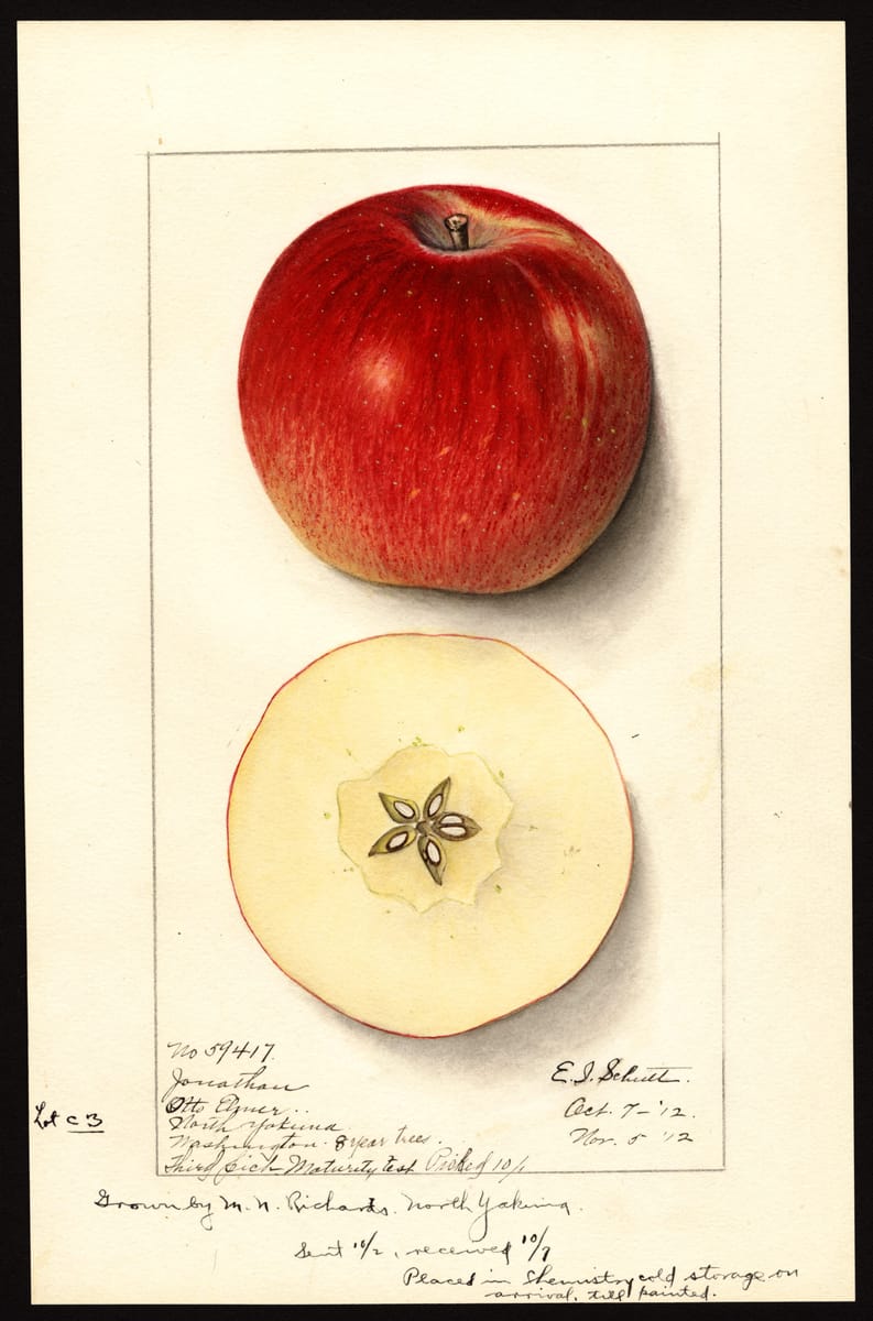 The Jonathan Apple print