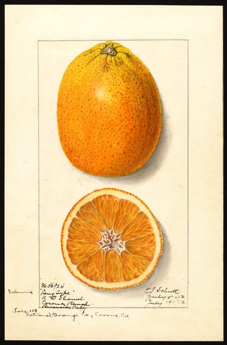 Valencia Orange print
