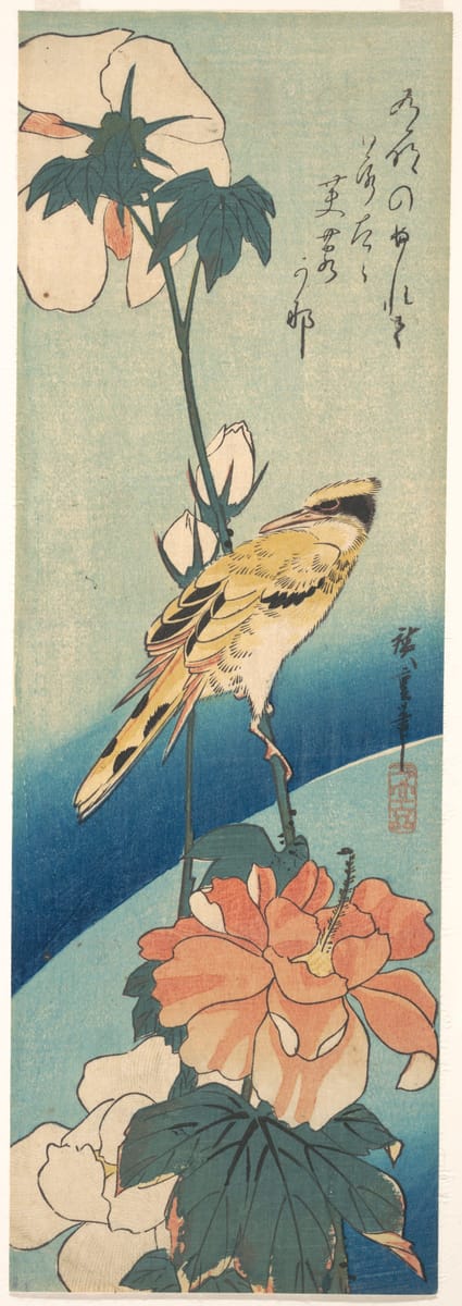 Oriole and Rose Mallow print